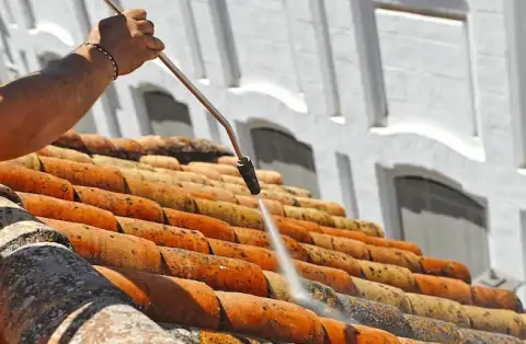 Nettoyage de toitures - Brienon-sur-Armançon
